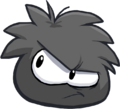 Black Puffle