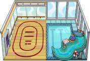 The Gymnasium Igloo in-game.