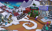 The Ski Village