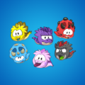 The 6 types of Dinosaur Puffles.