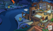 The Puffle Vet